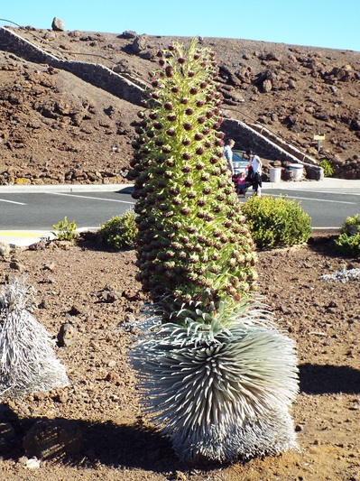 Haleakala day2.jpg